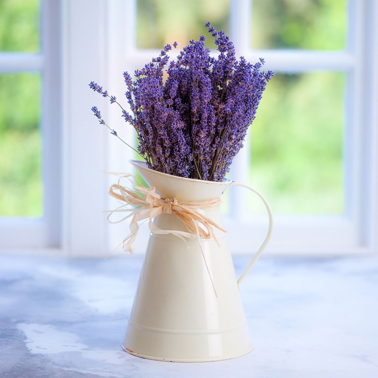 Bunch of lavender in antique jug by the window - Indoors Poster Print by Assaf Frank # AF20131008015